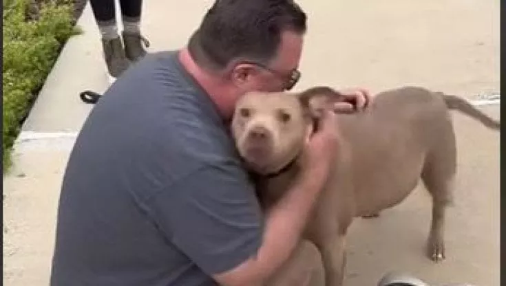 Il più bel regalo di compleanno, un uomo ritrova per strada la sua amata cagnolina “Roxy”