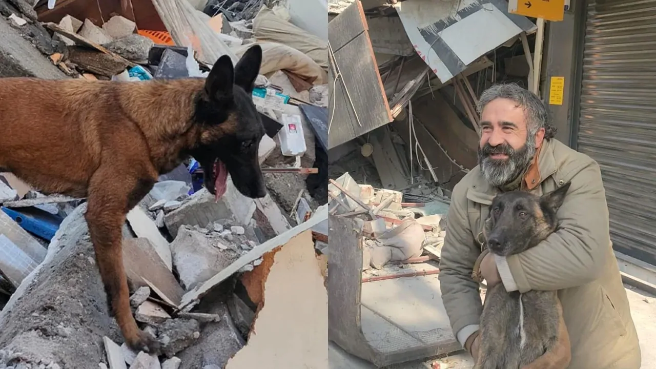 Terremoto Turchia, uomo salvato da un cane fa di tutto per incontrarlo, ora sono inseparabili