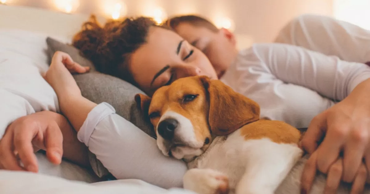 I rischi da considerare nel dormire con i cani: aspetti da tenere presente per una buona convivenza