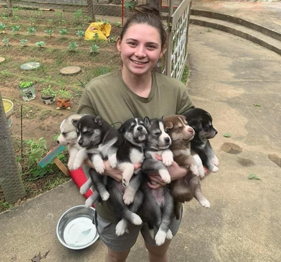 Madre realizza un sogno in memoria della figlia morta salvando un cane