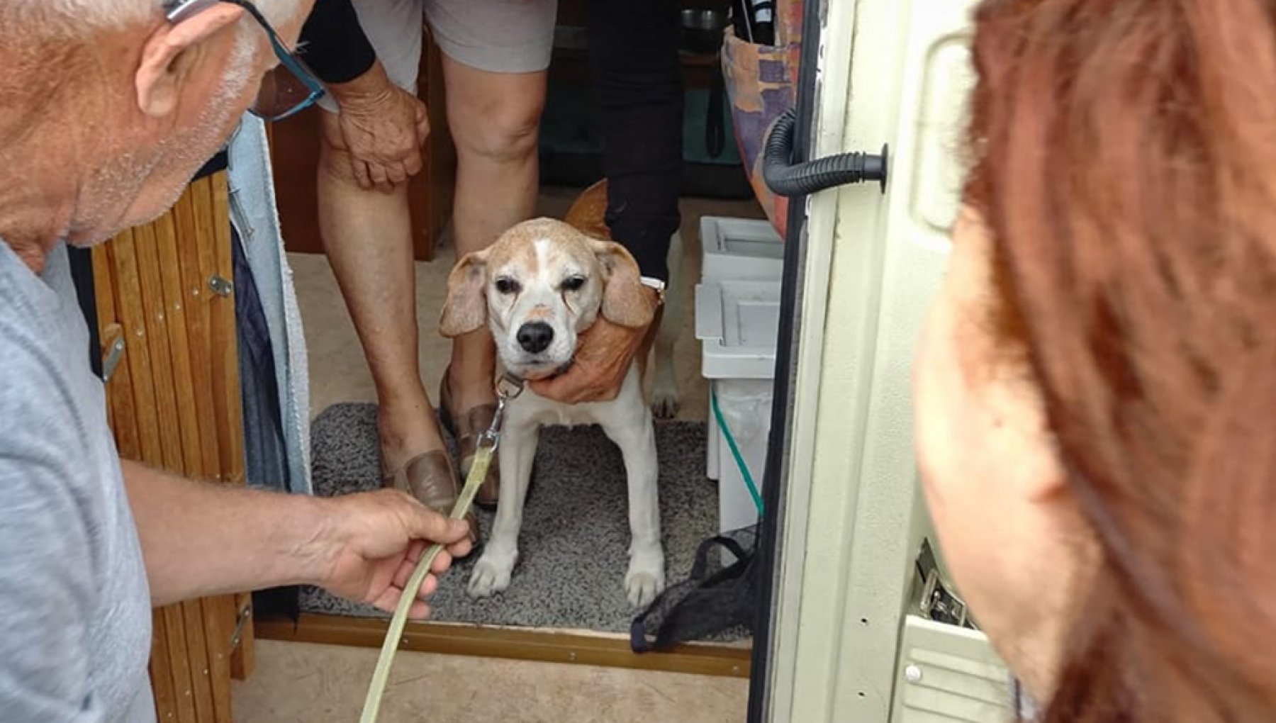 Silou, cane francese ritrovato a Torre del Greco grazie a volontaria