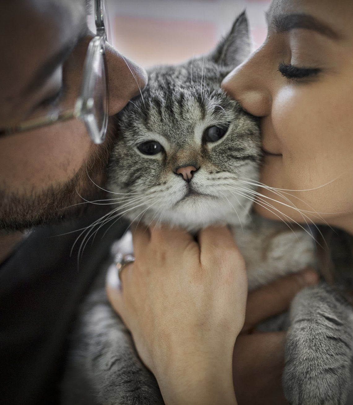 Quanto tempo un gatto ricorda una persona?