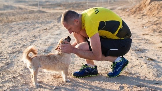 Cagnolina randagia percorre 125km con un maratoneta, l’atleta decide di adottarla