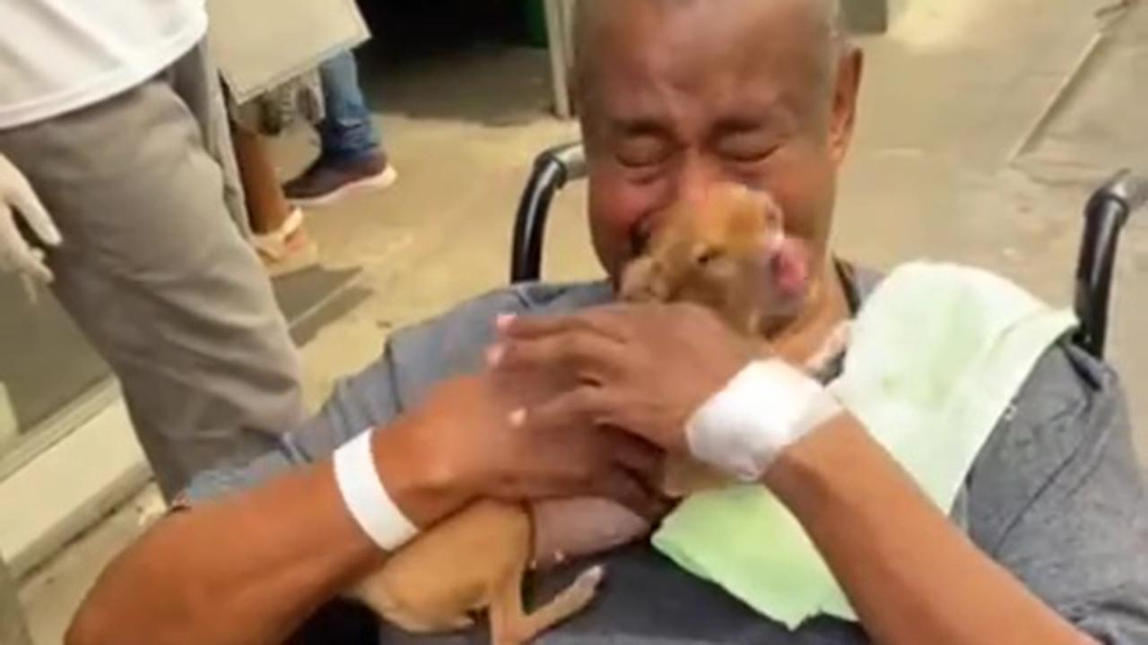 Ricoverato in ospedale piange e chiede ogni giorno d’incontrare il suo cagnolino, una visita inaspettata cambia tutto