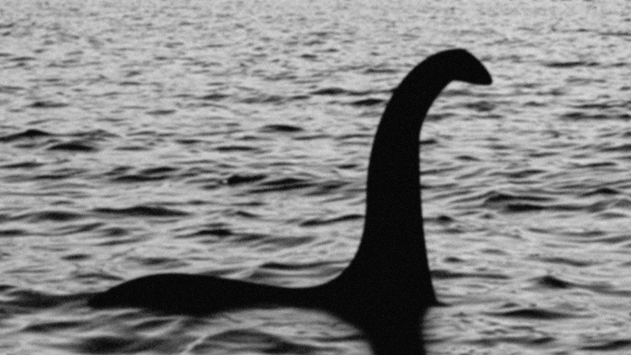 Il mistero di Loch Ness: tra cigni e leggende, cosa si nasconde davvero nel lago?