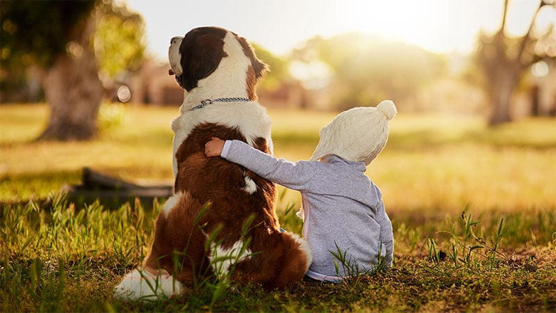 I cani non sono solo compagni di vita, ma protettori naturali dei bambini. Scopri come questo legame si è evoluto e i benefici per la crescita dei più piccoli.