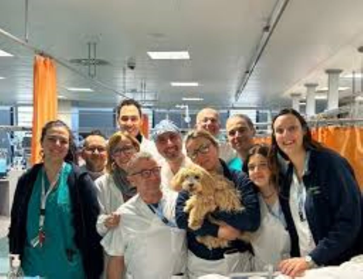 Paziente in terapia intensiva incontra il suo cane, l’ospedale lo ammette per il benessere della donna