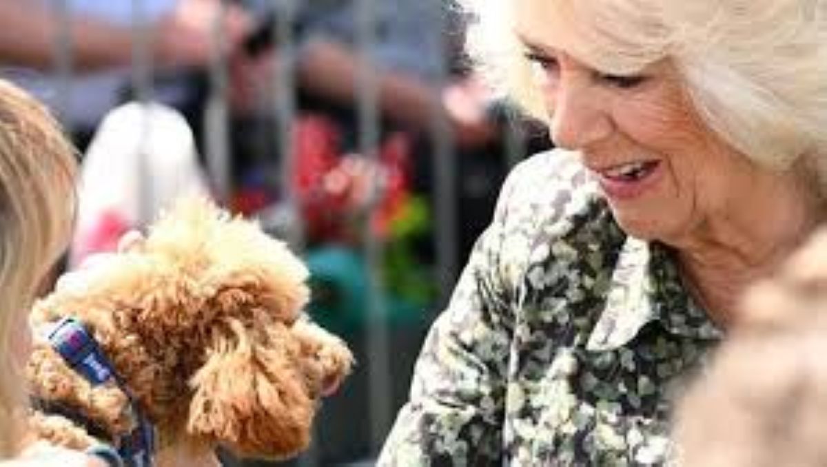 La regina Camilla adotta un cucciolo meticcio di nome Moley: un gesto di amore per gli animali