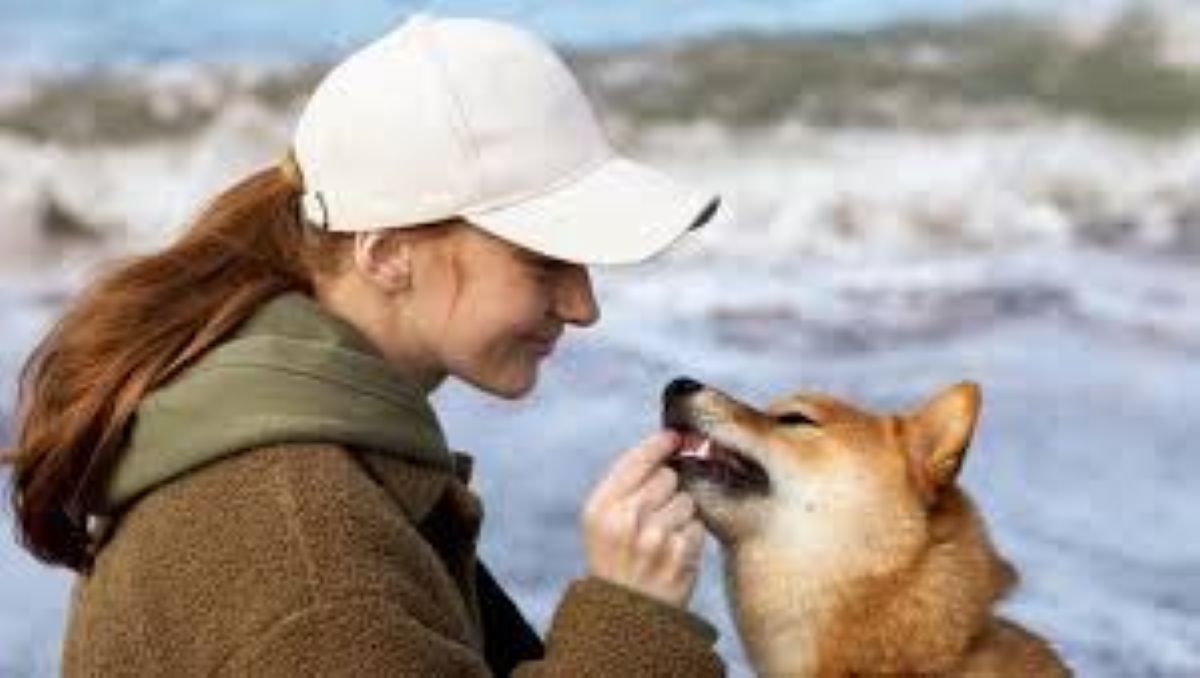 Salvato un cane, cambiata una vita: la storia di Jackie Charlebois e gli Shiba Inu