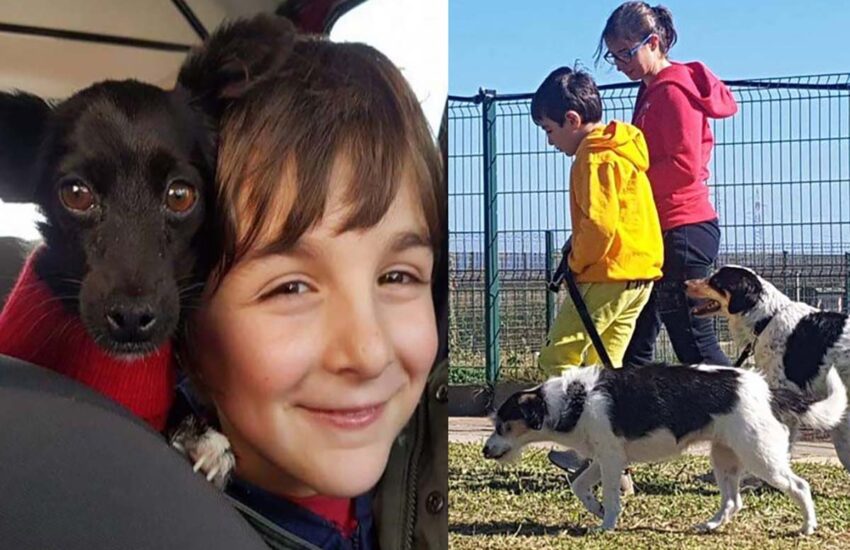 In Sardegna, un bambino trascorre l’estate facendo volontariato nei rifugi per cani. La madre: “Condividerlo con lui è la mia più grande gioia”.